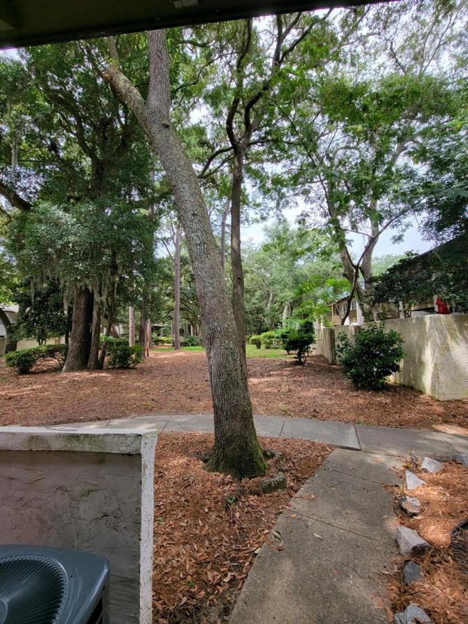 Hhi Homes- Newly Renovated Cozy Modern Pet-Friendly Villa-Ideal Location ヒルトンヘッドアイランド エクステリア 写真